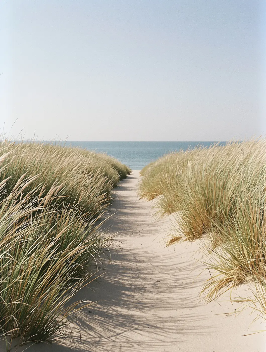 A sandy path through the dunes towards the sea